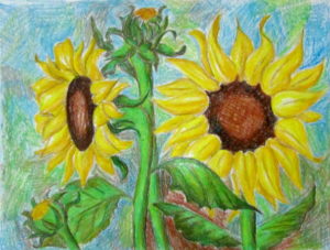 How To Draw Sunflowers - Happy Family Art