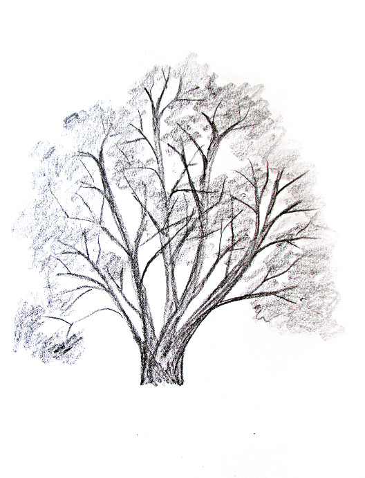 How To Draw A Tree Happy Family Art