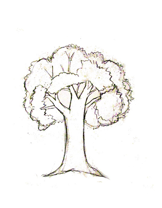 easy tree drawing with leaves