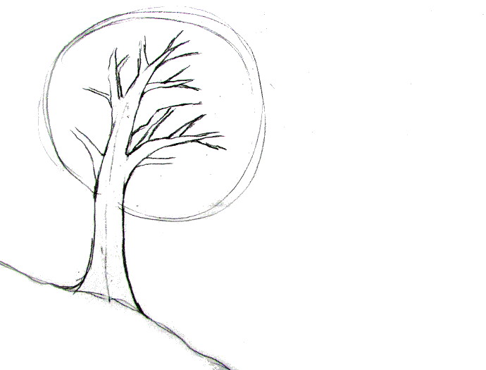 tree sketch 2 by quentinlars  Tree sketches Tree drawings pencil Tree  drawing