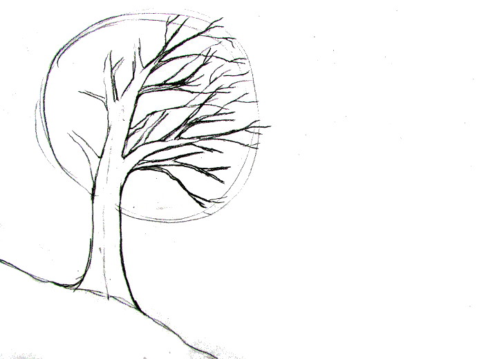 Pencil Art Drawing of a Tree - Etsy