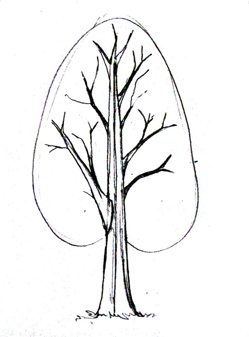 Halloween Cartoon Tree. Black Simple Design. Vector illustration Stock  Vector Image & Art - Alamy