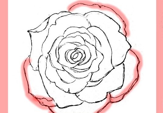 how to draw a rose with pencil